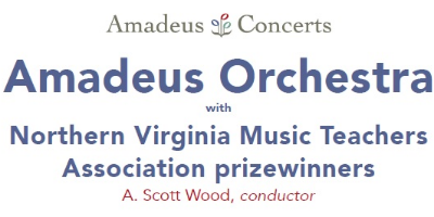 Amadeus orchestra
