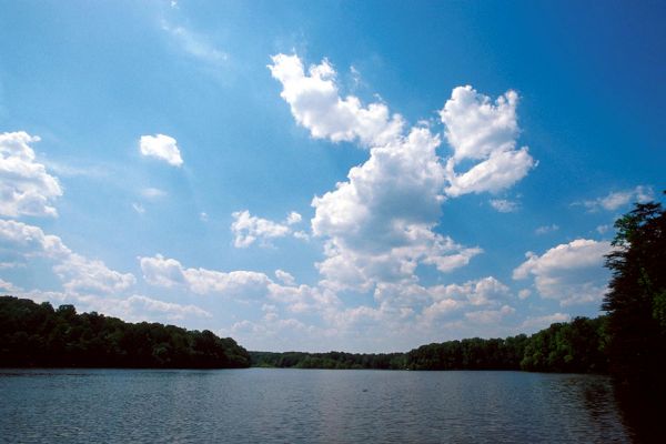 Lake Accontink Park