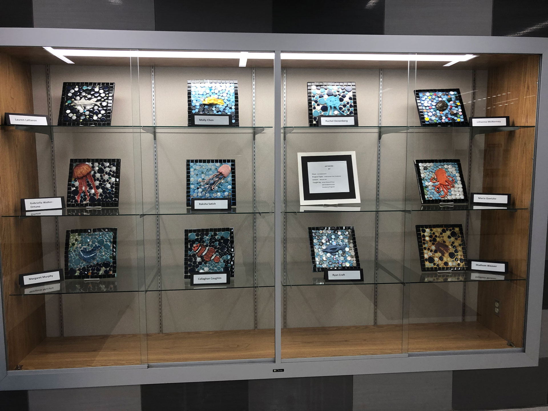Past Projects  Art Display Cases