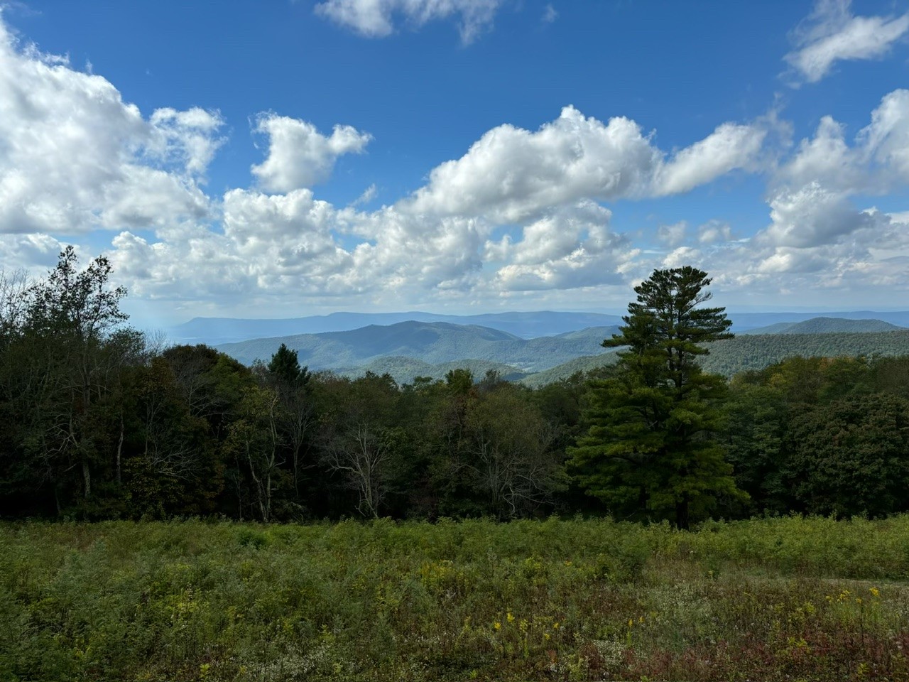 a landscape photo with grass in the foreground and a line of trees and mountains and valleys against a bright blue sky with fluffy white clouds|A closely cropped photo features a white man with glasses on the left side of the image next to an Asian man on the right side of the image. Behind them is a wooded valley and clear blue skies.|A memory mapping worksheet features a collage of sketches and stuck on items