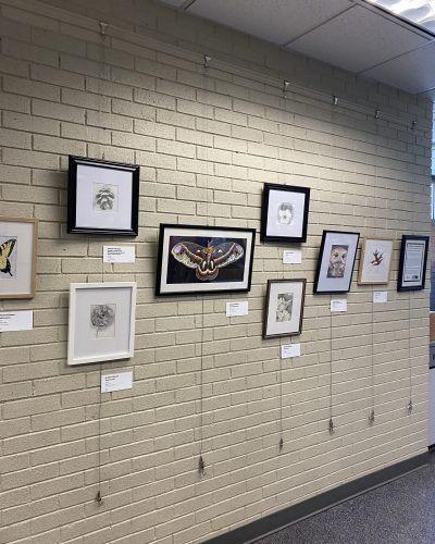 "Naturally" by Ariane D'Souza on display at the Braddock District Office
